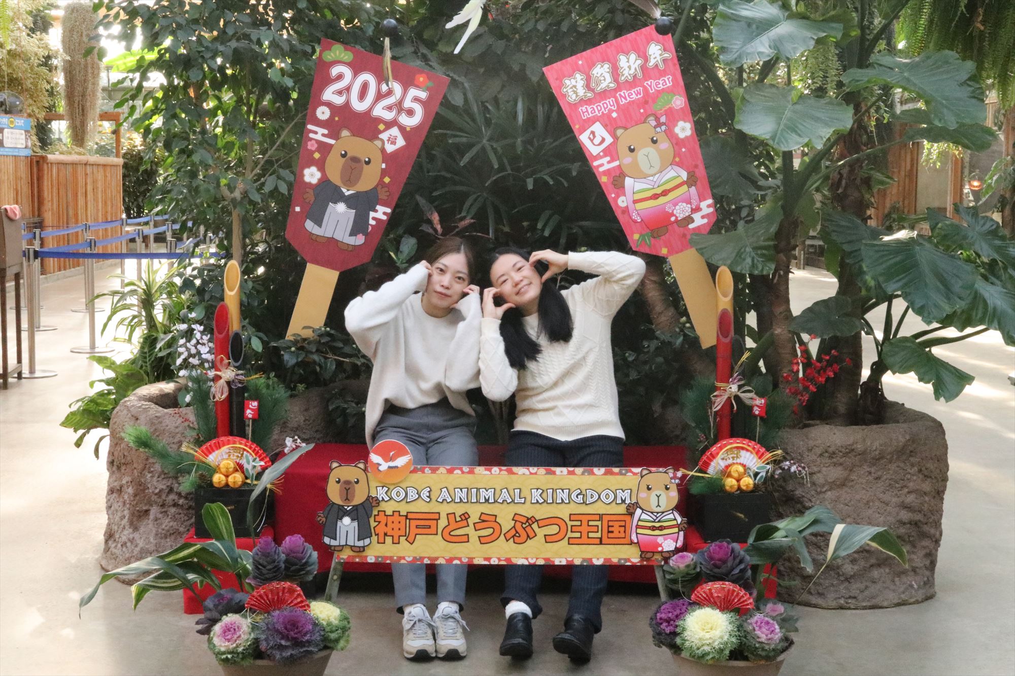 Animal kingdom banner